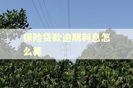 保险贷款逾期利息怎么算