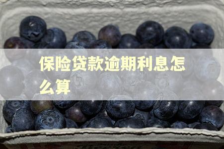 保险贷款逾期利息怎么算