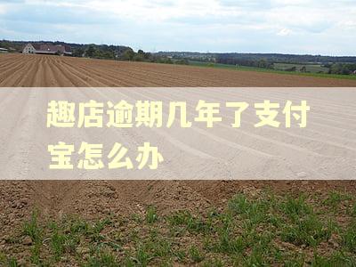 趣店逾期几年了支付宝怎么办