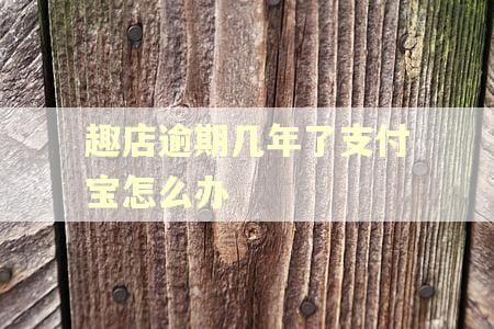 趣店逾期几年了支付宝怎么办