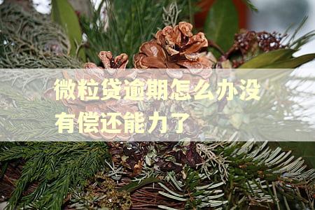 微粒贷逾期怎么办没有偿还能力了