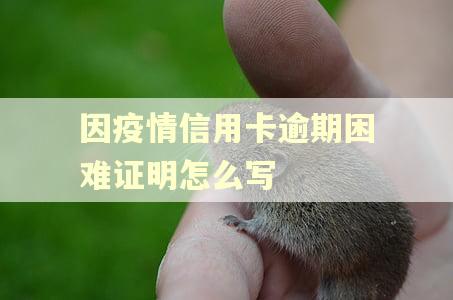 因疫情信用卡逾期困难证明怎么写
