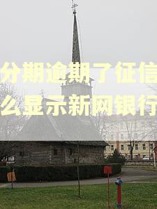 来分期逾期了征信上怎么显示新网银行逾期