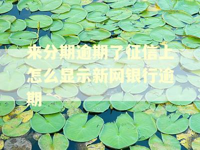 来分期逾期了征信上怎么显示新网银行逾期
