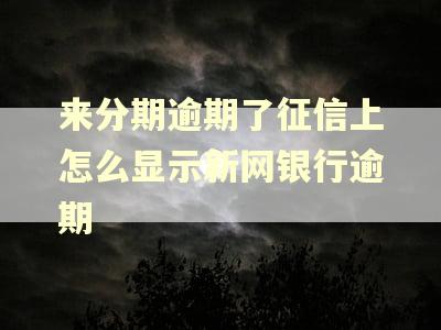 来分期逾期了征信上怎么显示新网银行逾期