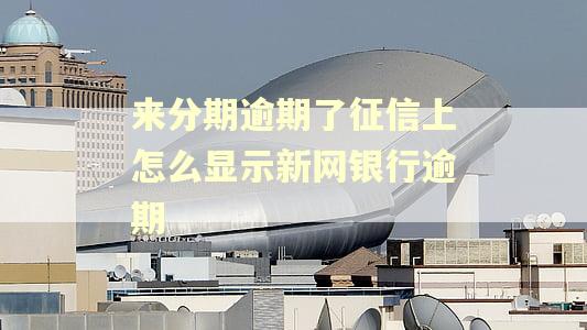 来分期逾期了征信上怎么显示新网银行逾期