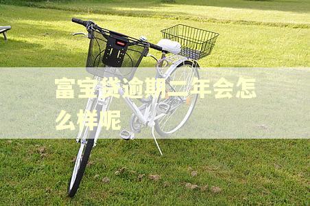 富宝贷逾期二年会怎么样呢