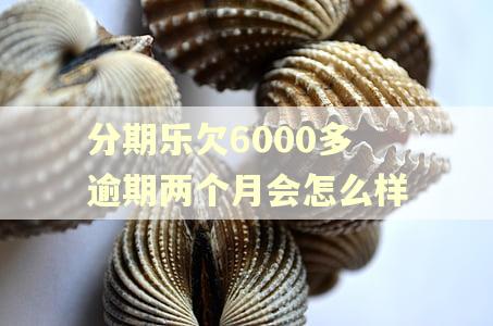分期乐欠6000多逾期两个月会怎么样