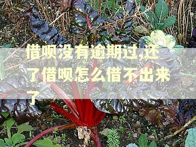 借呗没有逾期过,还了借呗怎么借不出来了