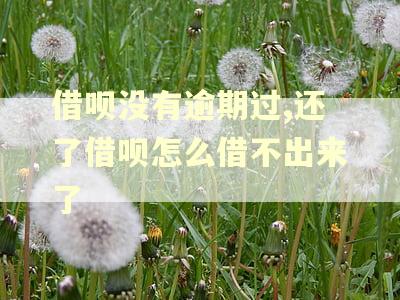 借呗没有逾期过,还了借呗怎么借不出来了