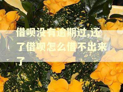 借呗没有逾期过,还了借呗怎么借不出来了