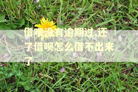 借呗没有逾期过,还了借呗怎么借不出来了 借呗没有逾期过,还了借呗怎么借不出来了