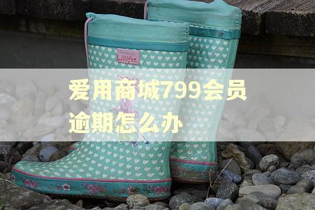 爱用商城799会员逾期怎么办