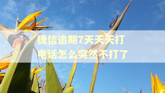 捷信逾期7天天天打电话怎么突然不打了