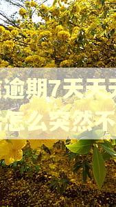 捷信逾期7天天天打电话怎么突然不打了