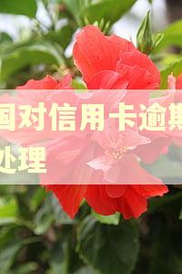 美国对信用卡逾期怎么处理
