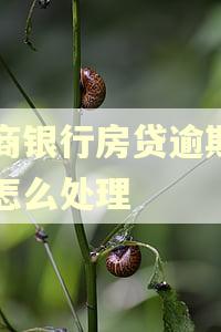 农商银行房贷逾期一天怎么处理