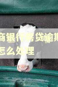 农商银行房贷逾期一天怎么处理 农商银行房贷逾期一天怎么处理