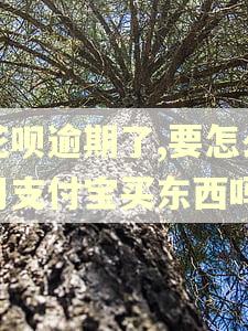 花呗逾期了,要怎么用支付宝买东西吗
