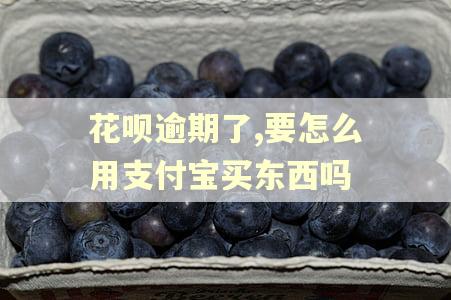 花呗逾期了,要怎么用支付宝买东西吗