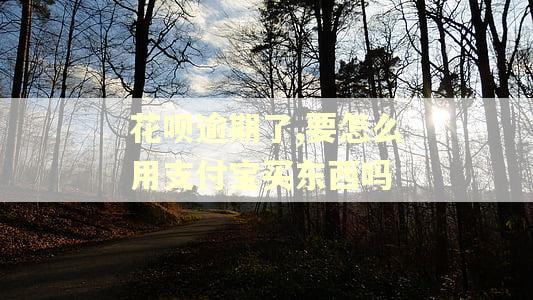 花呗逾期了,要怎么用支付宝买东西吗