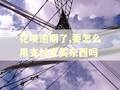 花呗逾期了,要怎么用支付宝买东西吗
