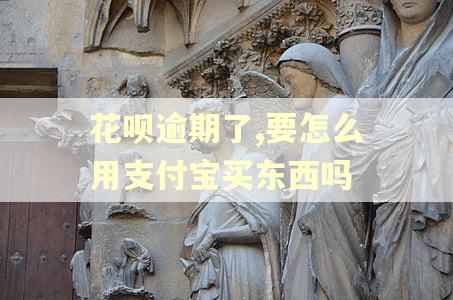 花呗逾期了,要怎么用支付宝买东西吗 花呗逾期了,要怎么用支付宝买东西吗
