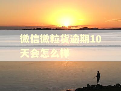 微信微粒货逾期10天会怎么样