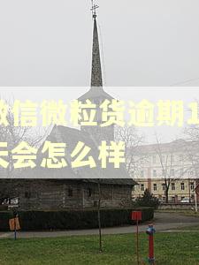 微信微粒货逾期10天会怎么样