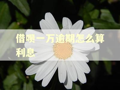 借呗一万逾期怎么算利息