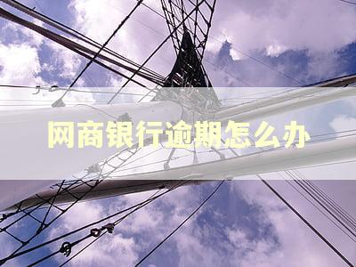 网商银行逾期怎么办