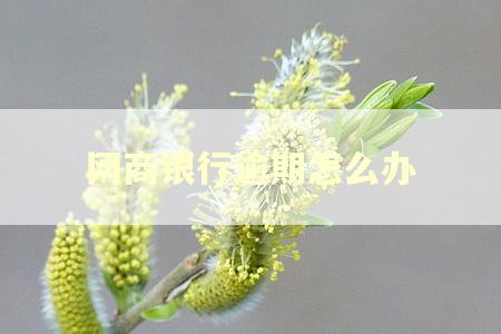 网商银行逾期怎么办