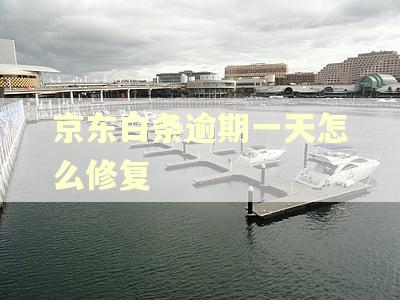 京东白条逾期一天怎么修复