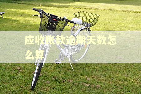 应收账款逾期天数怎么算