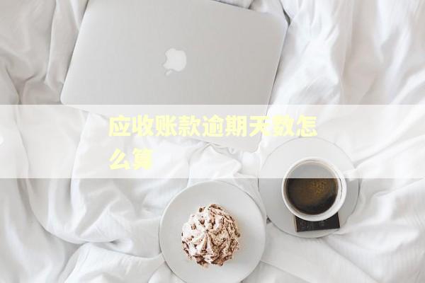 应收账款逾期天数怎么算