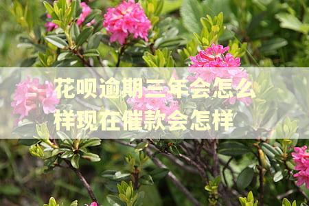 花呗逾期三年会怎么样现在催款会怎样
