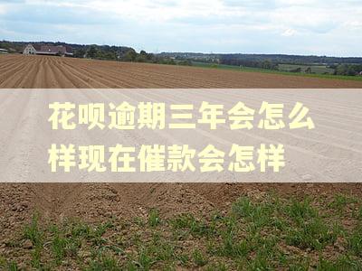 花呗逾期三年会怎么样现在催款会怎样