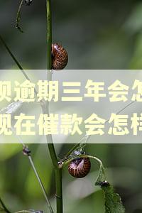 花呗逾期三年会怎么样现在催款会怎样 花呗逾期三年会怎么样现在催款会怎样