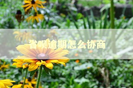 省呗逾期怎么协商