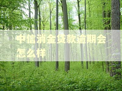 中信消金贷款逾期会怎么样 中信消金贷款逾期会怎么样