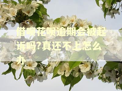 借呗花呗逾期会被起诉吗?真还不上怎么办
