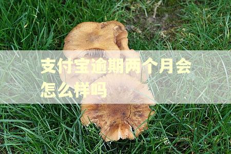 支付宝逾期两个月会怎么样吗 支付宝逾期两个月会怎么样吗
