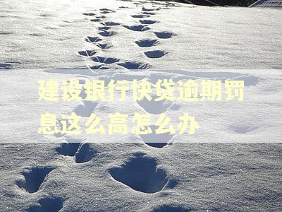 建设银行快贷逾期罚息这么高怎么办