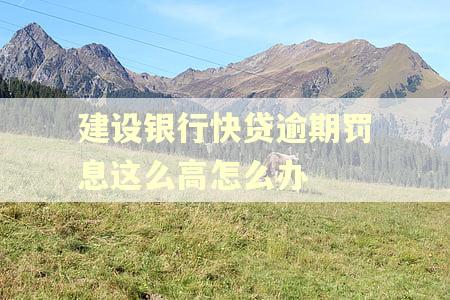 建设银行快贷逾期罚息这么高怎么办 建设银行快贷逾期罚息这么高怎么办