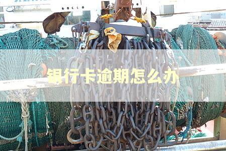 银行卡逾期怎么办