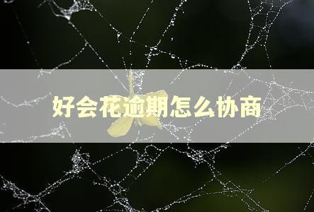 好会花逾期怎么协商