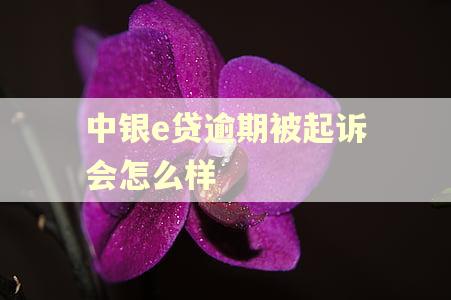 中银e贷逾期被起诉会怎么样 中银e贷逾期被起诉会怎么样