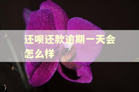 还呗还款逾期一天会怎么样