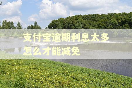 支付宝逾期利息太多怎么才能减免