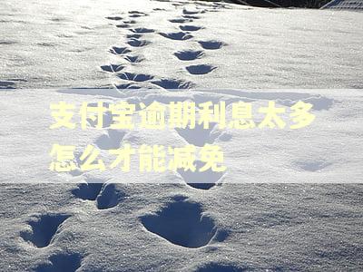 支付宝逾期利息太多怎么才能减免